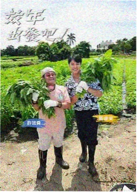 周末不加班综艺海报